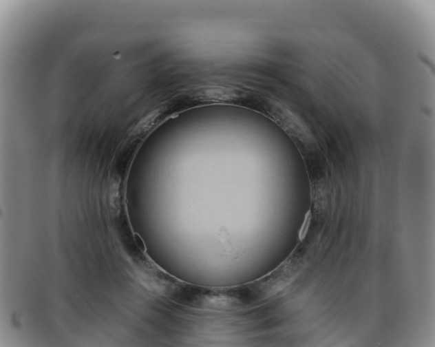X0000096460360200801311517