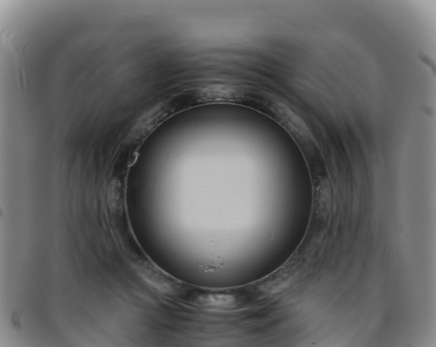 X0000096460361200801311517