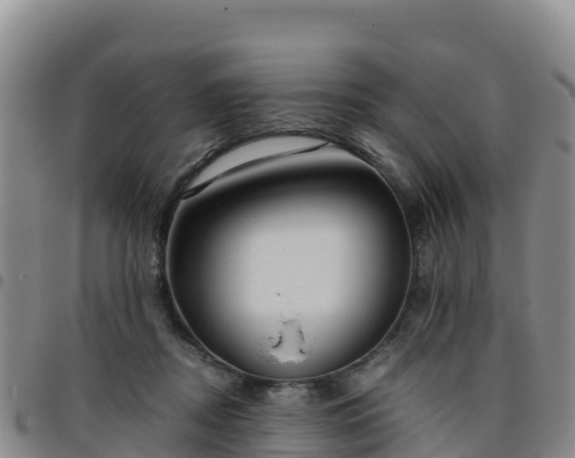 X0000096460362200801311517