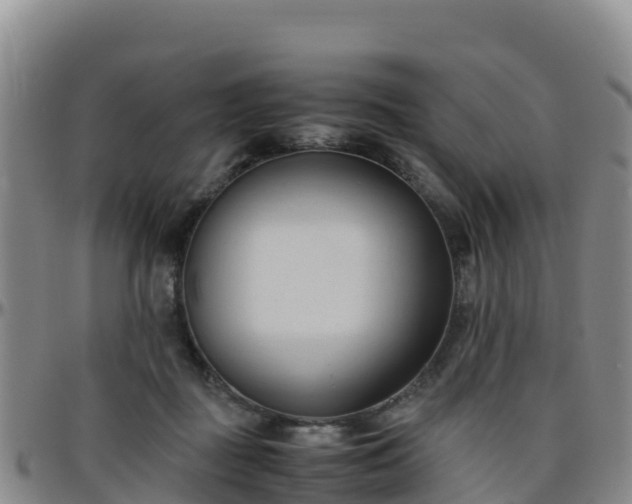 X0000096460363200801311517