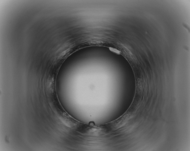 X0000096460364200801311517