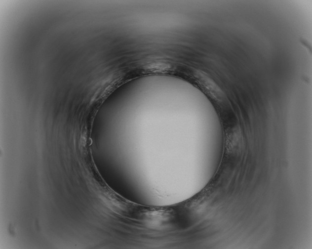 X0000096460365200801311517