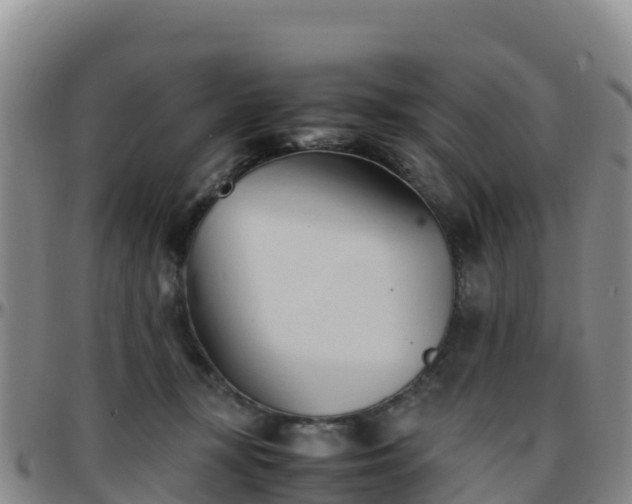 X0000096460367200801311517