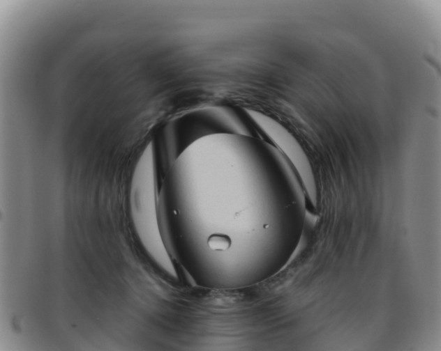 X0000096460368200801311517