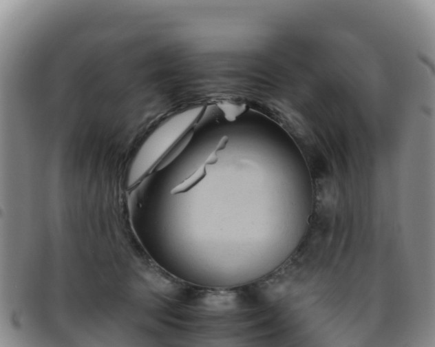 X0000096460369200801311517