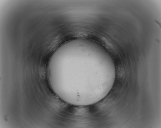 X0000096460370200801311517
