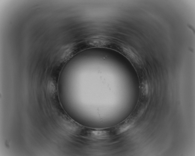 X0000096460371200801311517