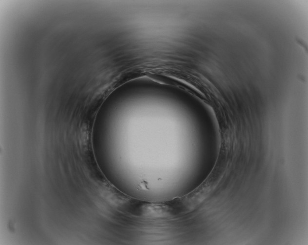 X0000096460372200801311517