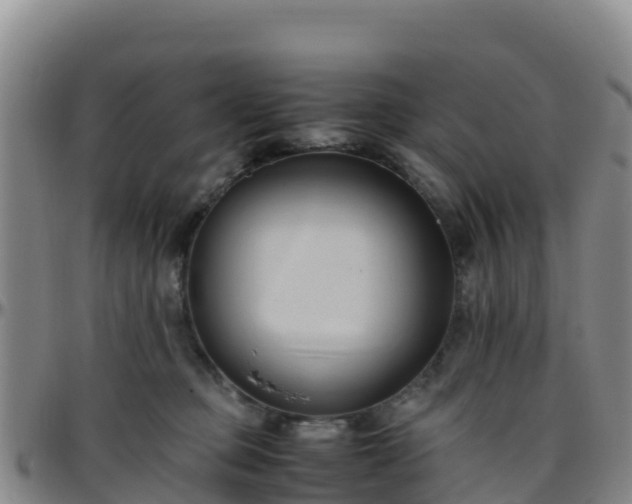 X0000096460373200801311517