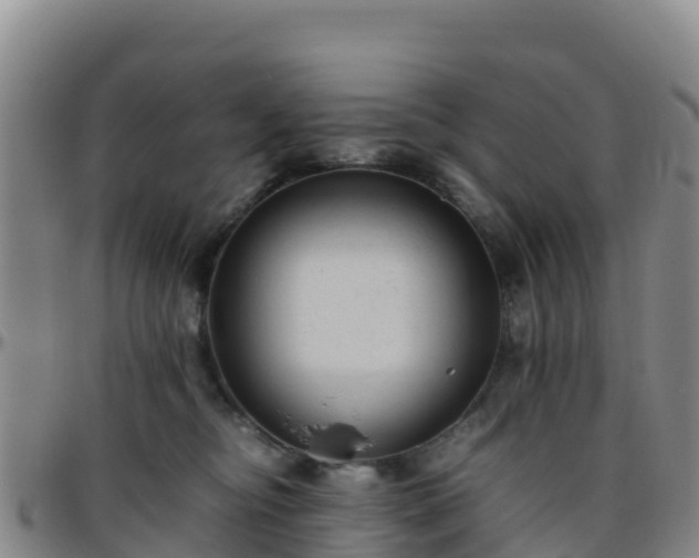 X0000096460374200801311517