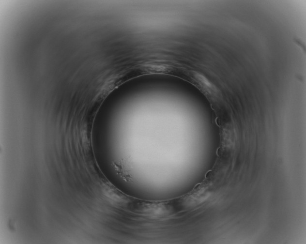 X0000096460377200801311517