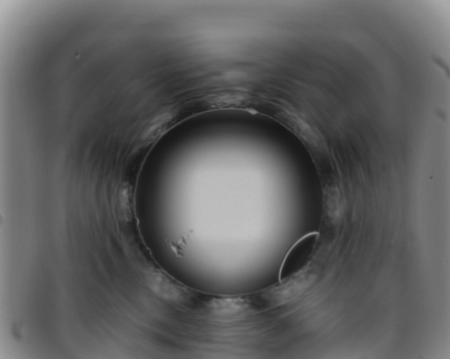 X0000096460378200801311517