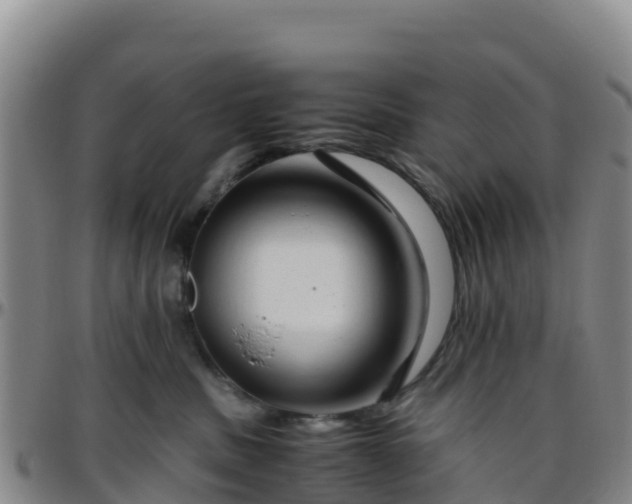 X0000096460379200801311517