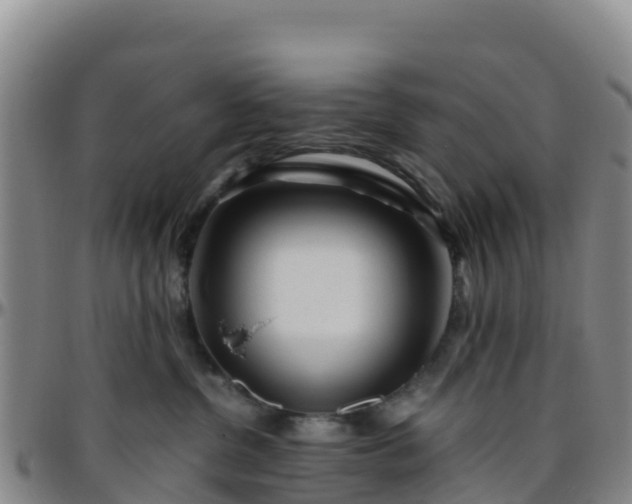 X0000096460380200801311517
