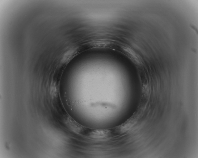 X0000096460381200801311517