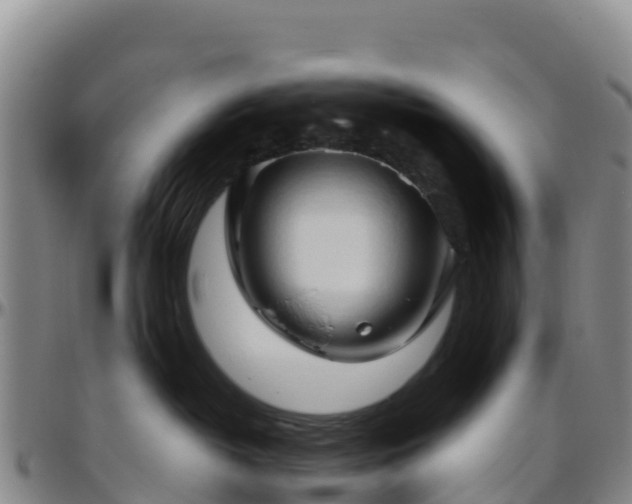 X0000096460382200801311517