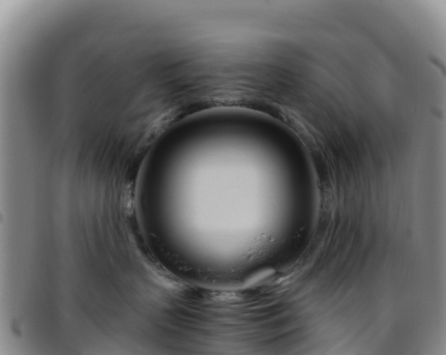 X0000096460383200801311517