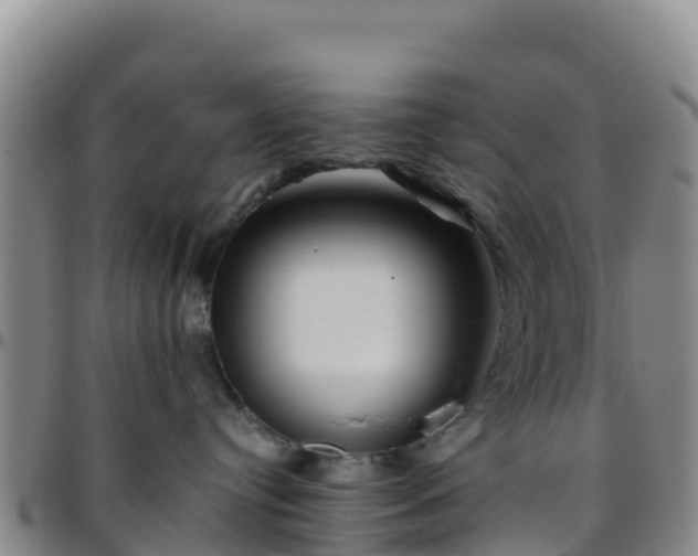X0000096460384200801311517