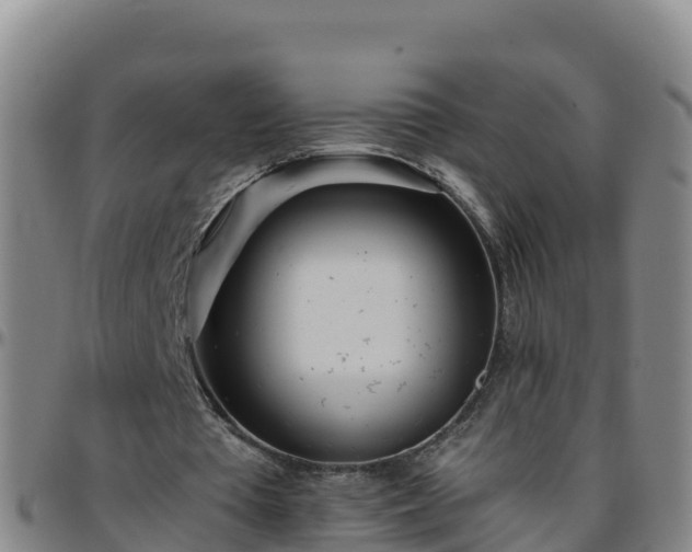X0000096460385200801311517