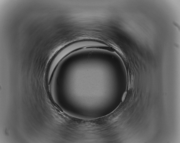 X0000096460387200801311517