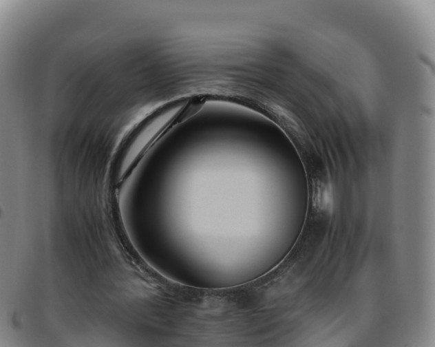 X0000096460388200801311517