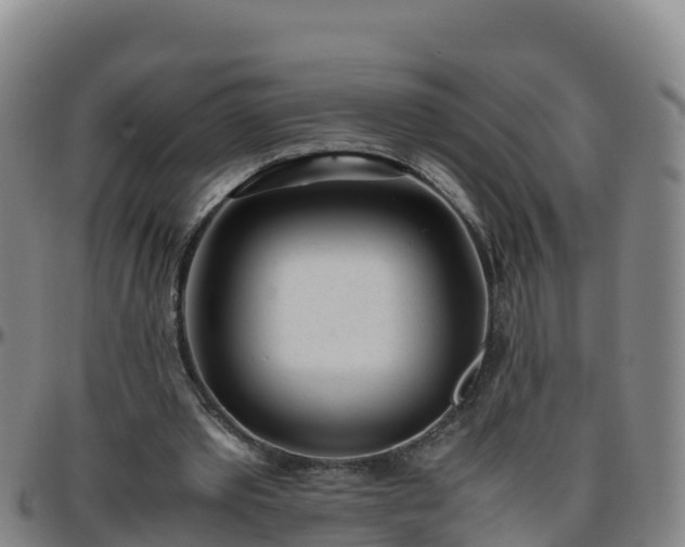 X0000096460389200801311517