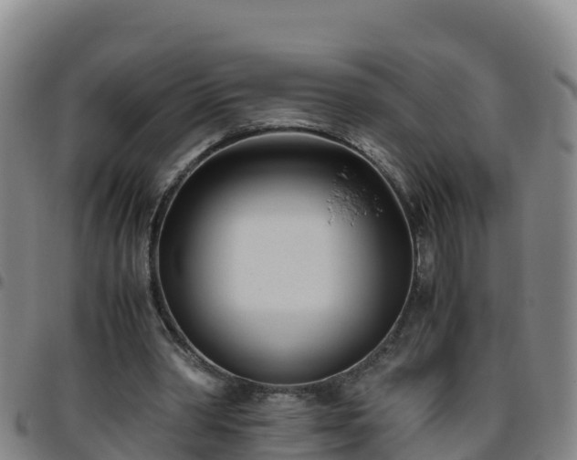 X0000096460390200801311517