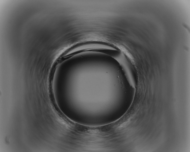 X0000096460391200801311517
