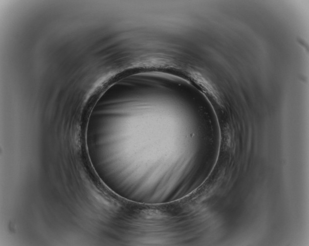 X0000096460392200801311516