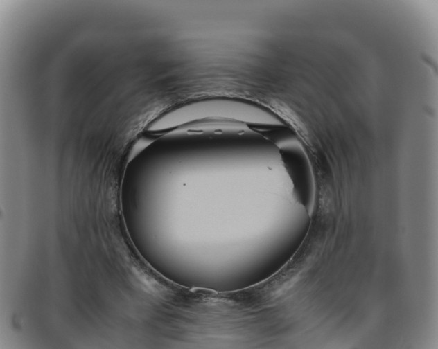 X0000096460393200801311516