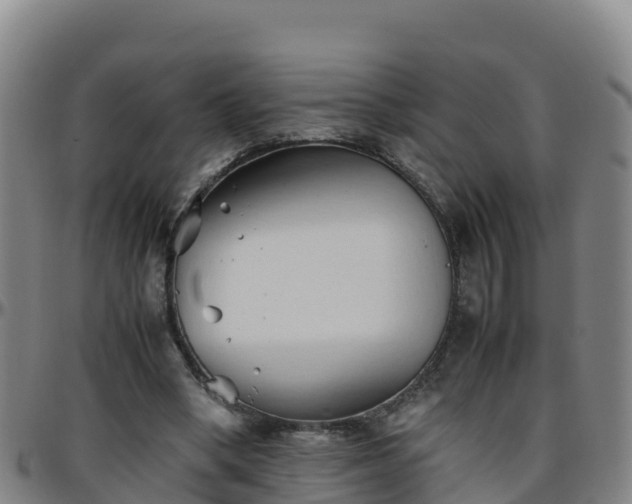 X0000096460394200801311516