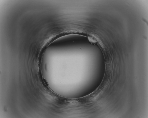 X0000096460395200801311516