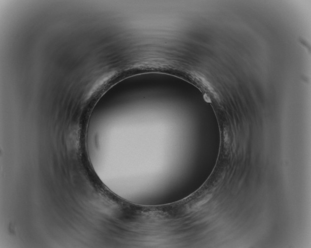 X0000096460396200801311516