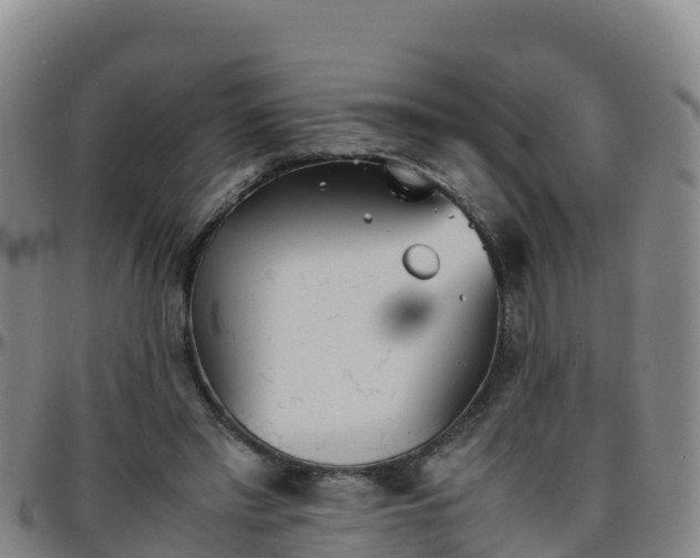 X0000096460397200801311516