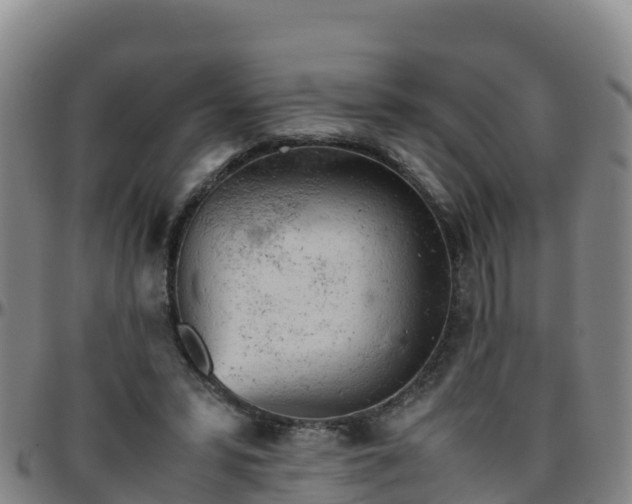 X0000096460399200801311516