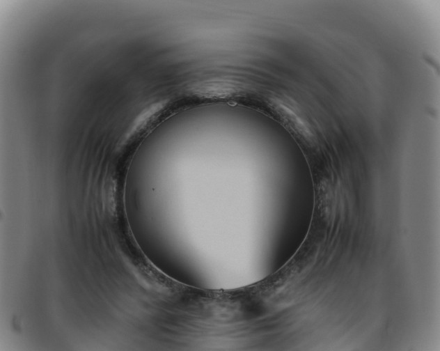 X0000096460400200801311516