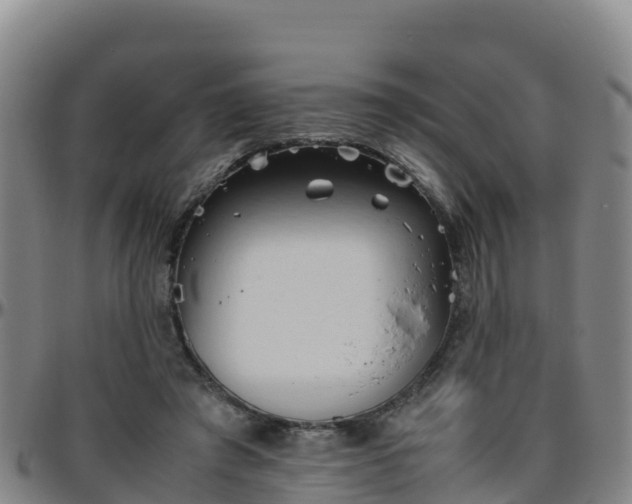 X0000096460401200801311516