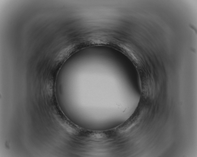 X0000096460402200801311516