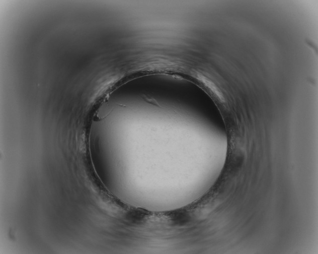 X0000096460403200801311516