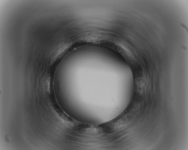 X0000096460404200801311516