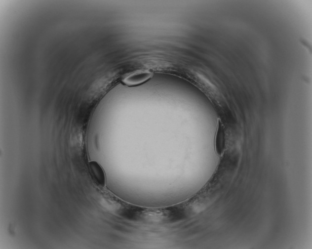 X0000096460405200801311516