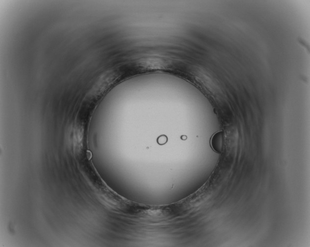 X0000096460406200801311516