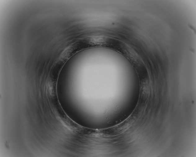 X0000096460408200801311516