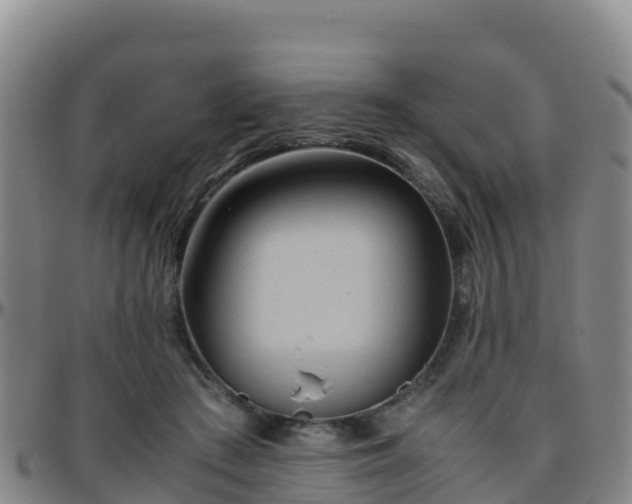 X0000096460409200801311516