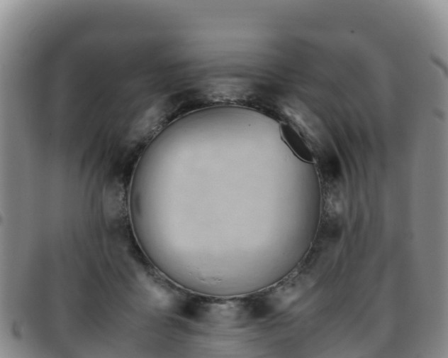 X0000096460411200801311516