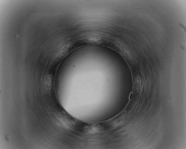 X0000096460412200801311516