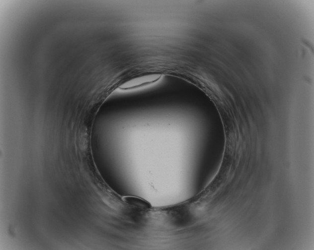 X0000096460413200801311516