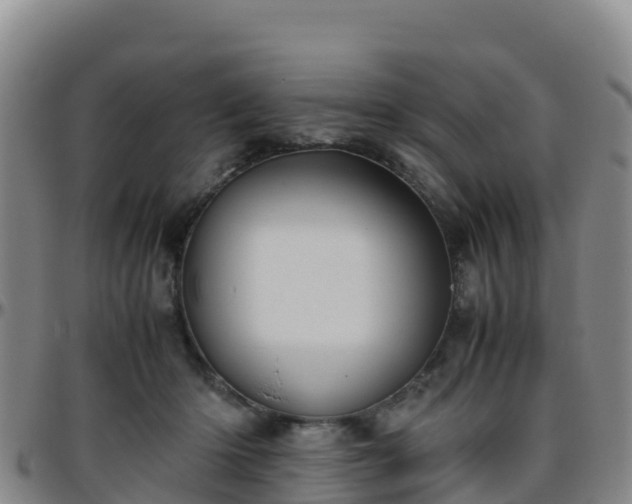 X0000096460414200801311516