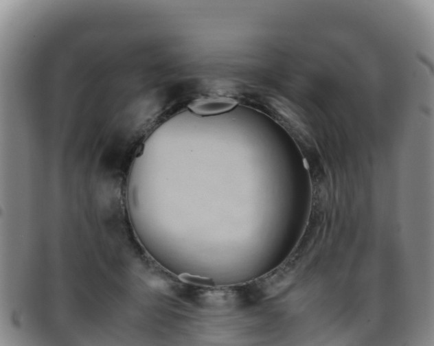 X0000096460415200801311516