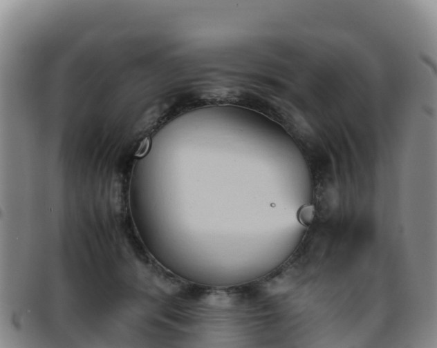 X0000096460416200801311516
